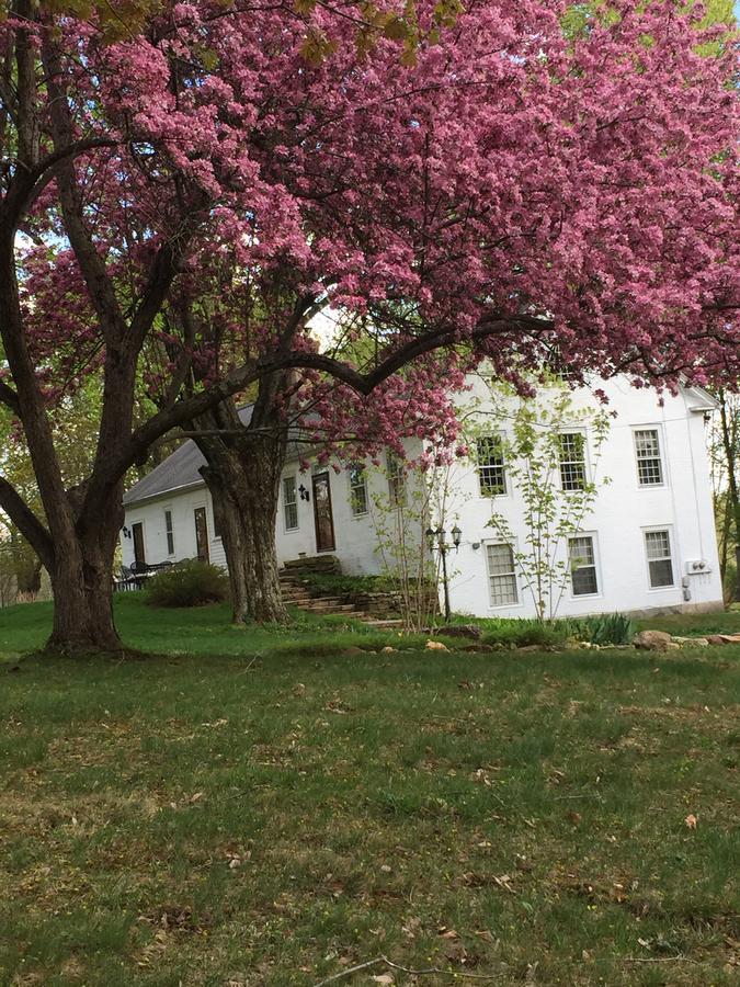 Innkeeper'S Place B&B Stafford Exterior foto